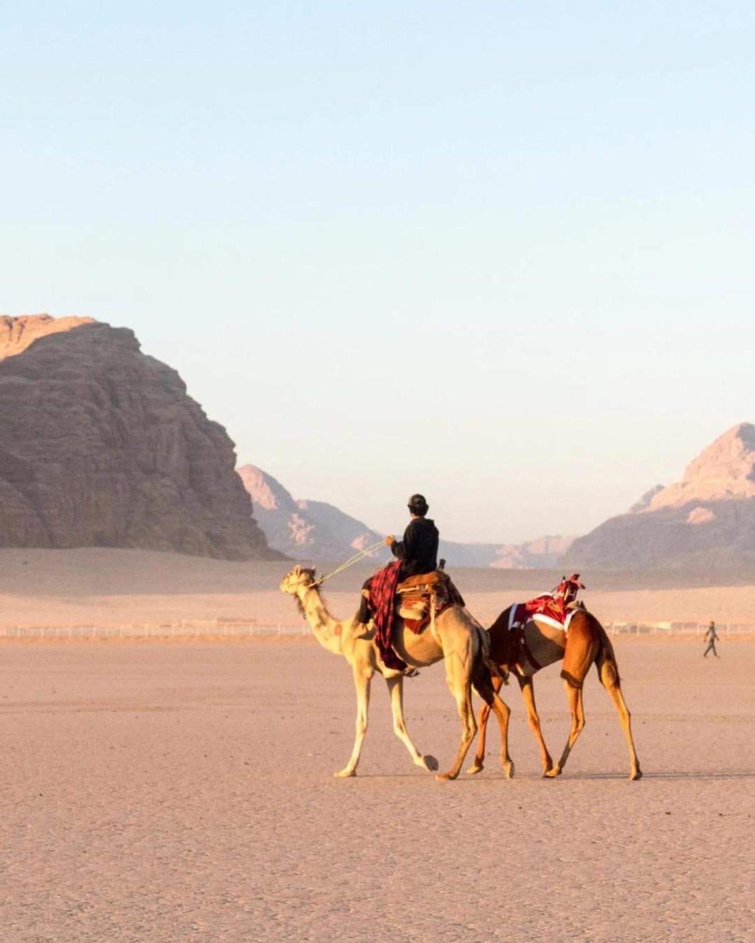 Wadi Grand 5*